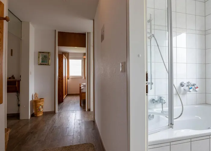 K 40 By Interhome * Dittishausen